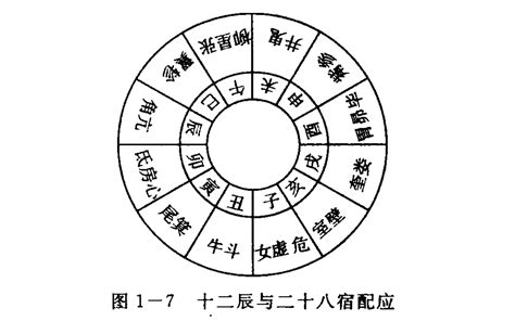 壬葵|天干地支（中国古代天文历法）